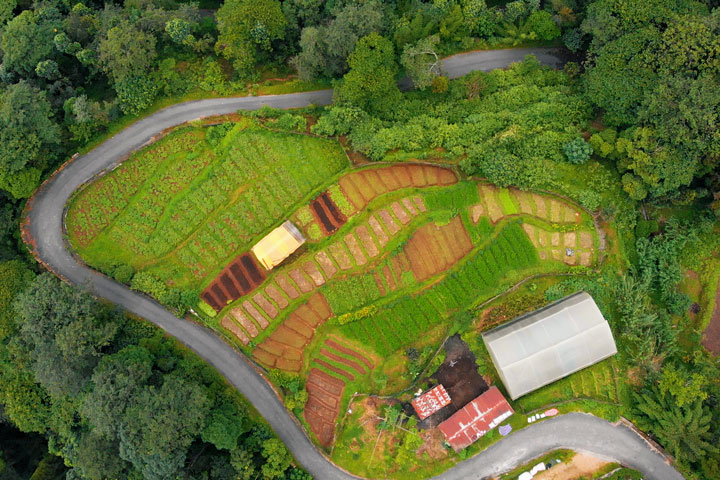 Farm – Damey Gaon